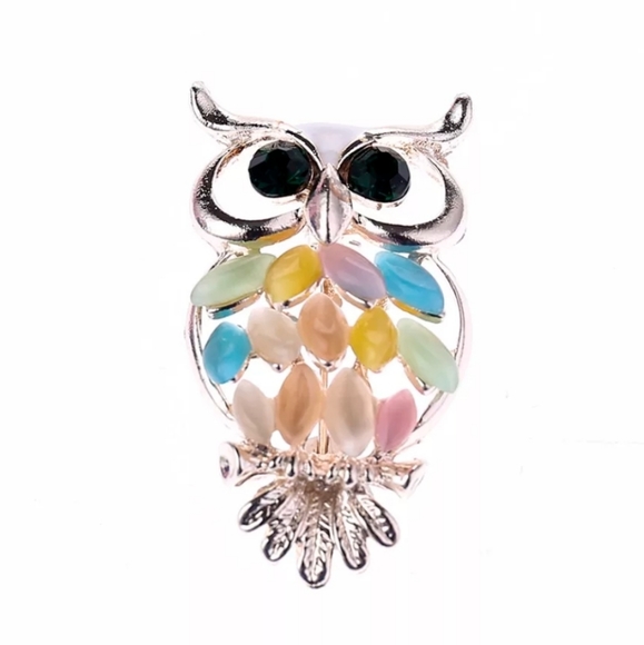 Jewelry - Owl Brooch Pin